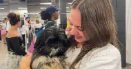 avatar petsitter