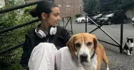 avatar petsitter