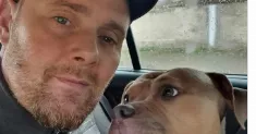 avatar petsitter