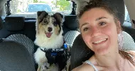 avatar petsitter