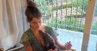 avatar petsitter