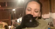avatar petsitter