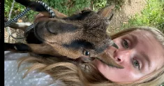 avatar petsitter