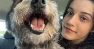 avatar petsitter
