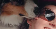 avatar petsitter
