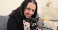 avatar petsitter