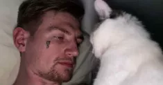 avatar petsitter