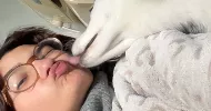 avatar petsitter