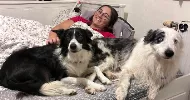 avatar petsitter