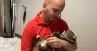 avatar petsitter