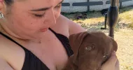 avatar petsitter