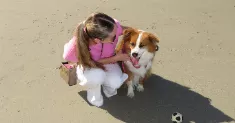 avatar petsitter