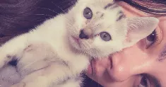 avatar petsitter