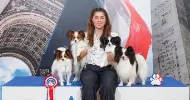 avatar petsitter