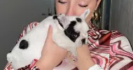 avatar petsitter