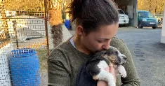 avatar petsitter