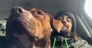 avatar petsitter