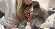 avatar petsitter
