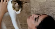 avatar petsitter