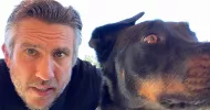 avatar petsitter