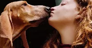 avatar petsitter