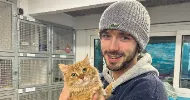 avatar petsitter