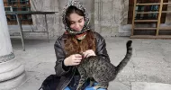 avatar petsitter