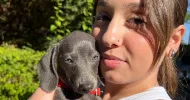 avatar petsitter
