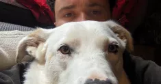 avatar petsitter