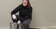avatar petsitter
