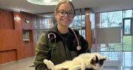 avatar petsitter