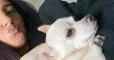 avatar petsitter