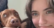 avatar petsitter