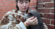 avatar petsitter