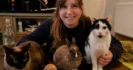 avatar petsitter