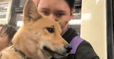 avatar petsitter