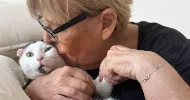 avatar petsitter