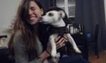 Anne pet sitter à Chelles 77500