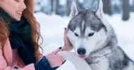 avatar petsitter