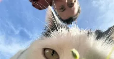 avatar petsitter