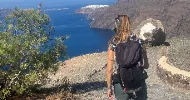avatar petsitter