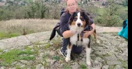 avatar petsitter