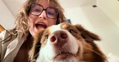 avatar petsitter