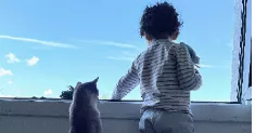 avatar petsitter