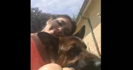 avatar petsitter