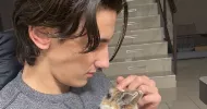 avatar petsitter