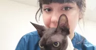 avatar petsitter