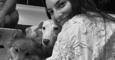 avatar petsitter