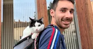 avatar petsitter