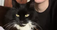 avatar petsitter